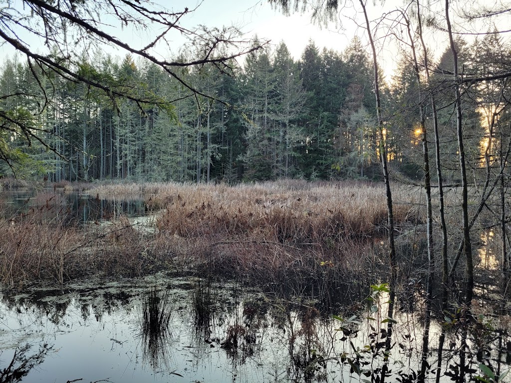 Farrells Marsh Wildlife Area | Steilacoom, WA 98388, USA | Phone: (253) 581-1912