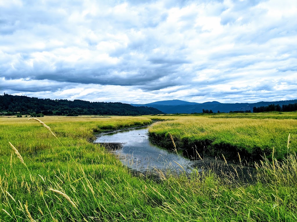 Steigerwald Lake National Wildlife Refuge | 35001 Lewis and Clark Hwy, Washougal, WA 98671, USA | Phone: (360) 835-8767