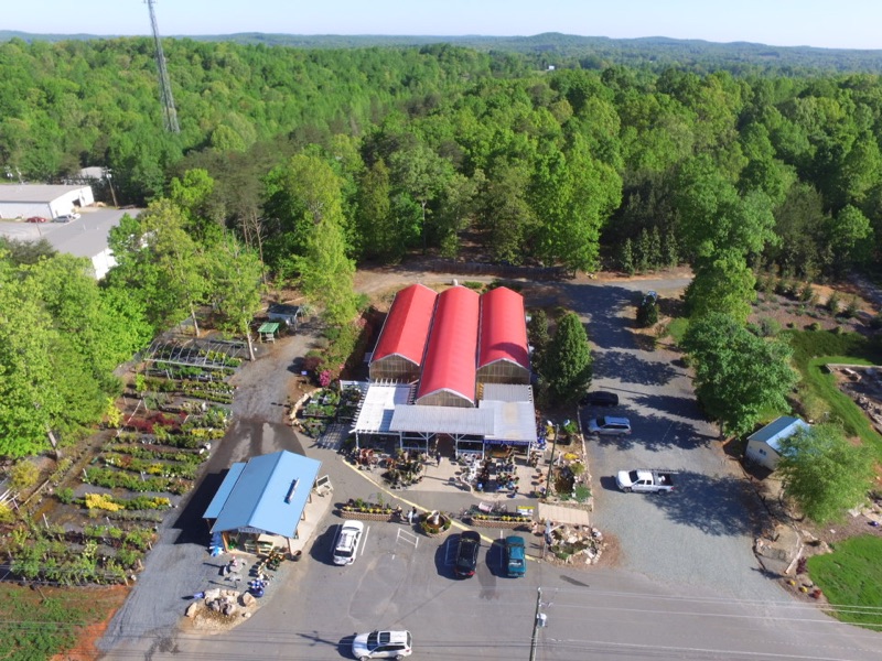 Whitaker Farms Retail Garden Center & Greenhouses | 4715 US-64, Franklinville, NC 27248, USA | Phone: (336) 824-4339