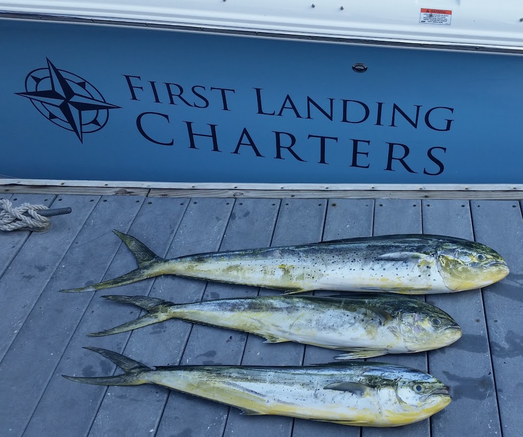 First Landing Charters | 3211 Lynnhaven Dr #36, Virginia Beach, VA 23451, USA | Phone: (757) 708-0707