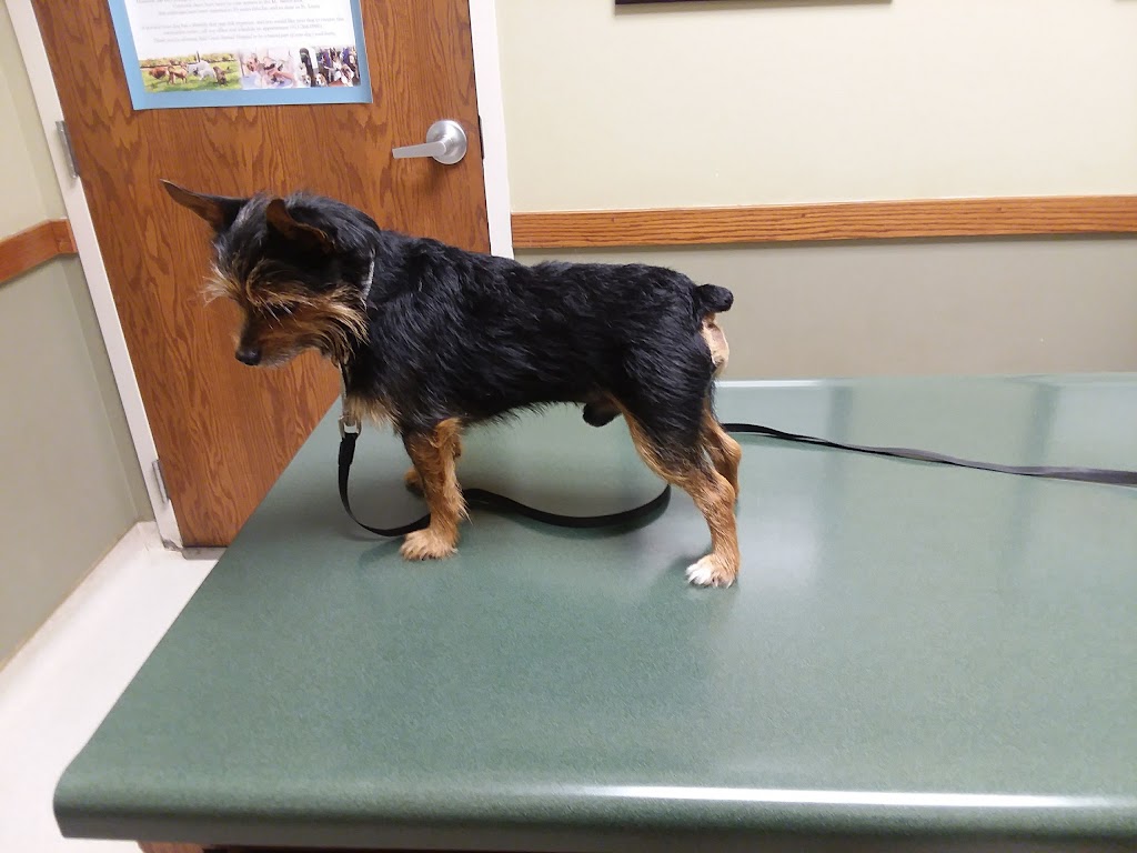 Mill Creek Animal Hospital | 13428 W 62nd Terrace, Shawnee, KS 66216, USA | Phone: (913) 268-0900