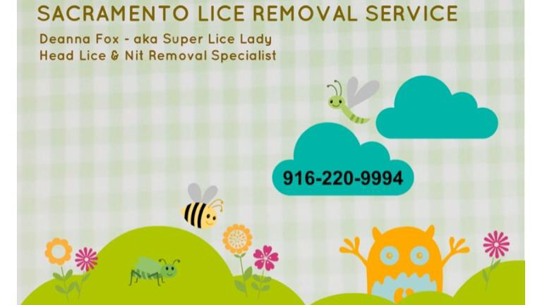 Sacramento Lice Removal Service | Super Lice Lady | 6913 Ellsworth Cir, Fair Oaks, CA 95628 | Phone: (916) 220-9994
