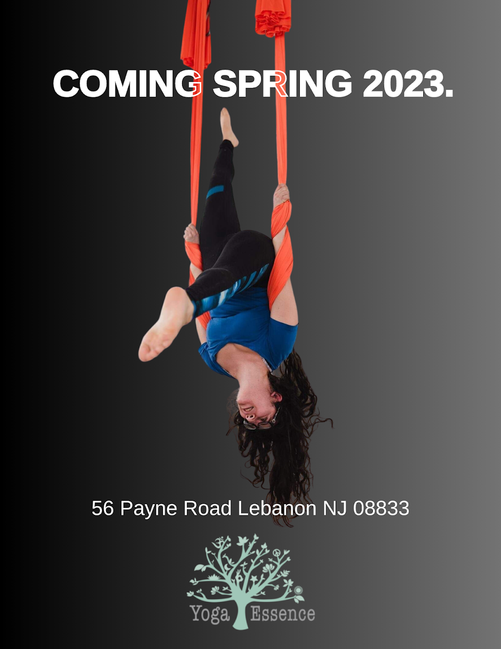 YES Aerial Fitness | Unit4, 56 Payne Rd, Lebanon, NJ 08833, USA | Phone: (908) 867-8288