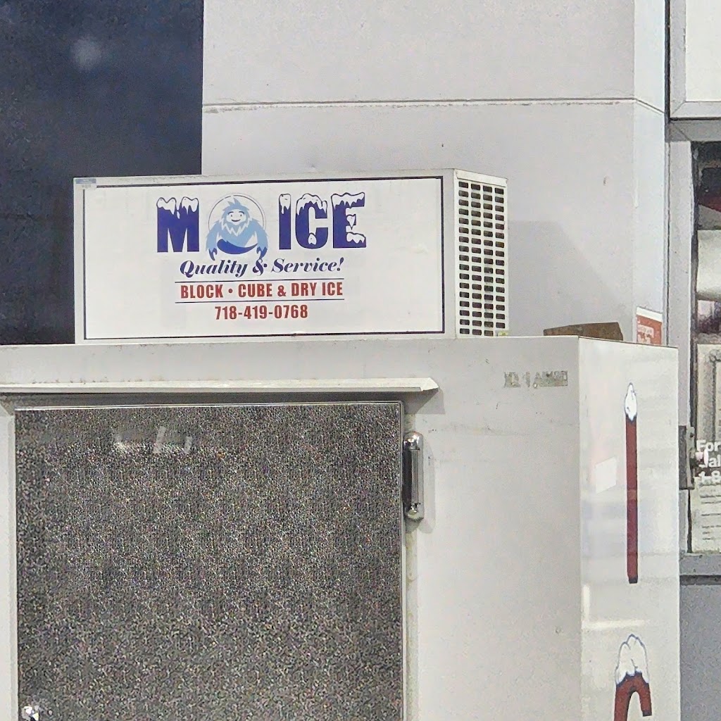 Mo Ice | 1157 E 156th St, Bronx, NY 10474, USA | Phone: (718) 419-0768