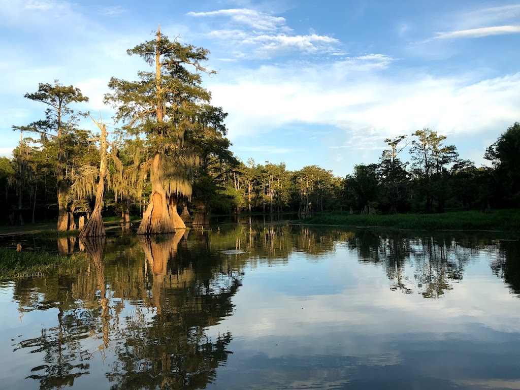 Bayou Sorrel Branch Library | 33415 LA-75, Plaquemine, LA 70764, USA | Phone: (225) 659-7055