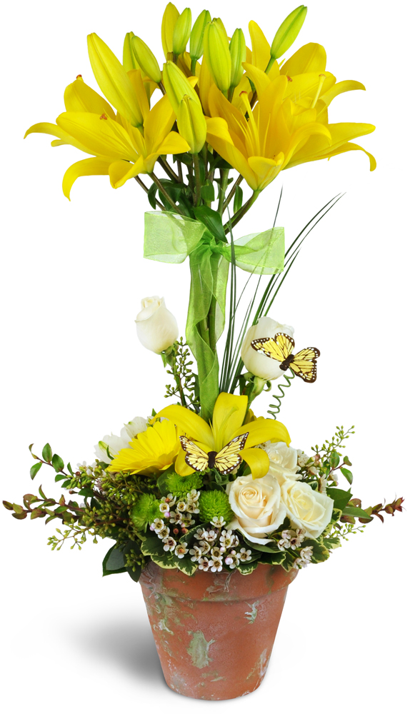 Cynthias Flowers & Gifts | 1310 E Duarte Rd, Duarte, CA 91010, USA | Phone: (626) 599-8576