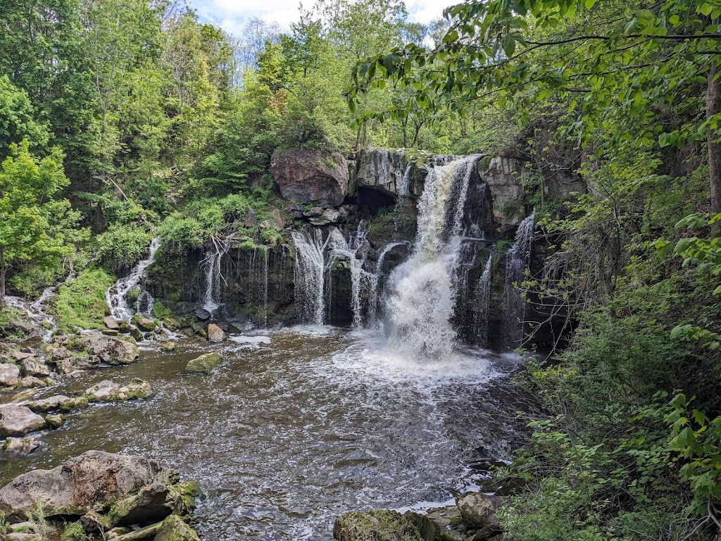 Akron Falls Park | 44 Parkview Dr, Akron, NY 14001, USA | Phone: (716) 542-2330