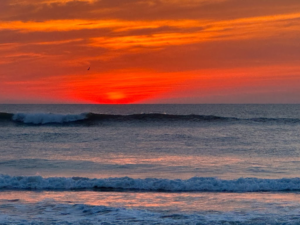 St. Johns County Lifeguard Headquarters | 366 A1A Beach Blvd, St. Augustine, FL 32080, USA | Phone: (904) 209-0336