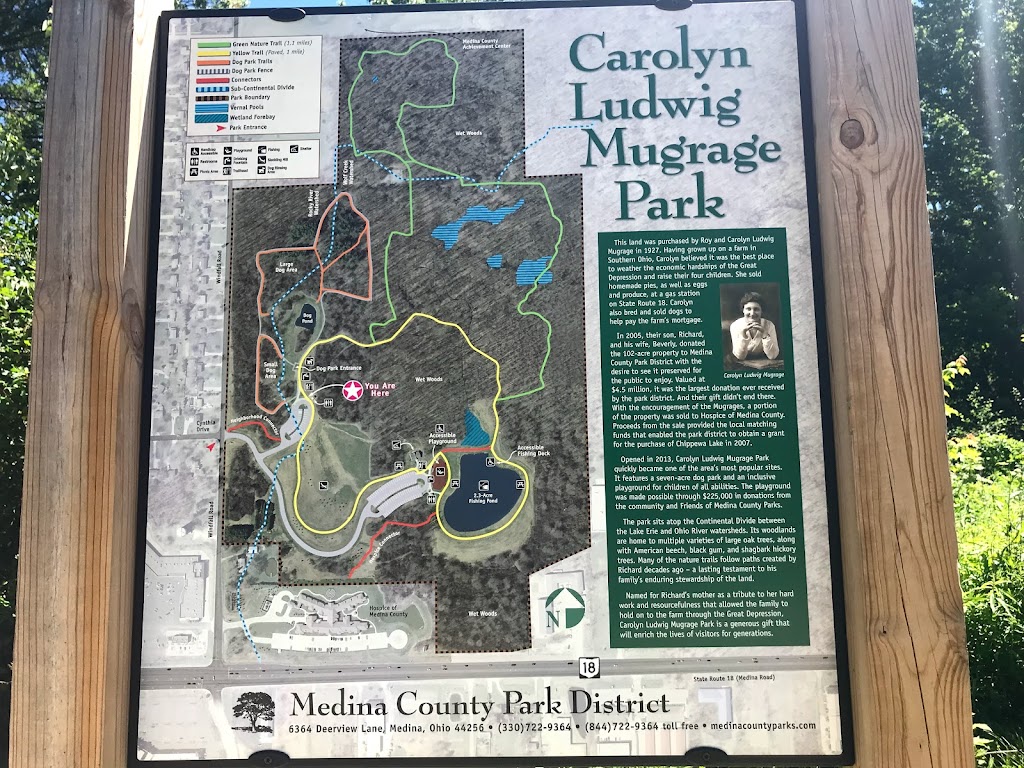 Carolyn Ludwig Mugrage Park | 4985 Windfall Rd, Medina, OH 44256, USA | Phone: (330) 722-9364