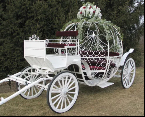 Ohio Carriage Rides | 1271 Joseph Rd, Luckey, OH 43443, USA | Phone: (917) 670-8595