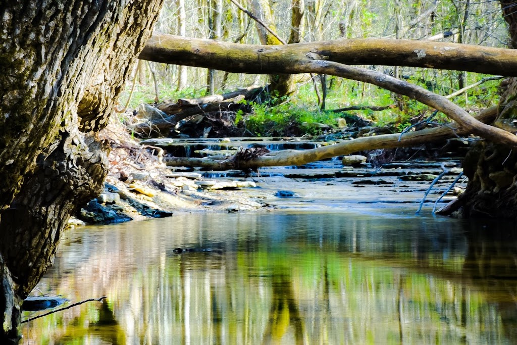 Agape Wilderness Retreat Center | 831 Barebone Rd, Bedford, KY 40006, USA | Phone: (502) 255-7676