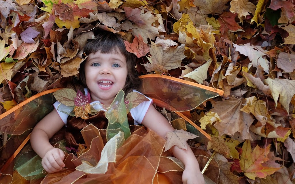 Little Leaf Preschool at Teatown Lake Reservation | 1600 Spring Valley Rd, Ossining, NY 10562, USA | Phone: (914) 214-1055