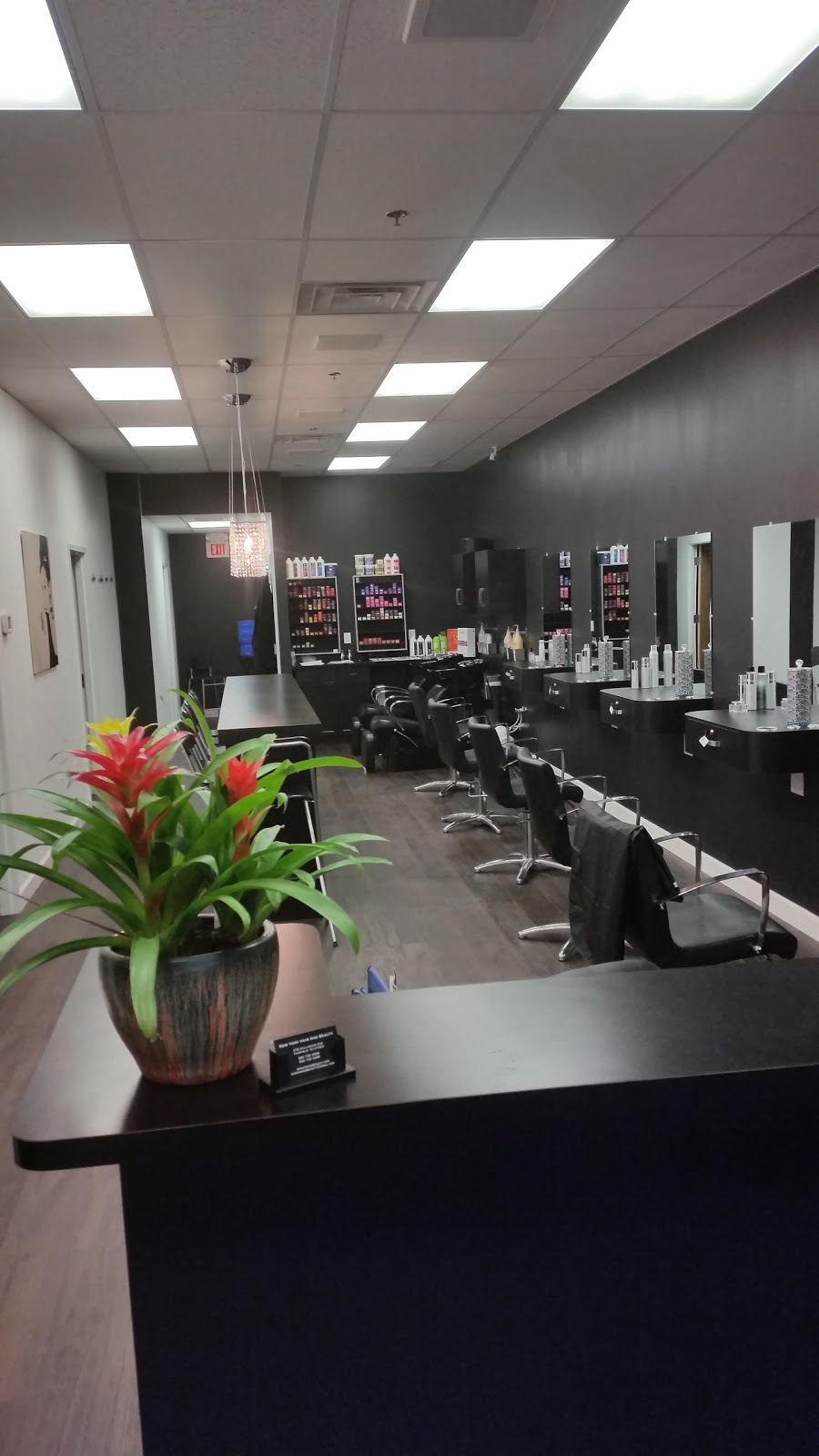 New York Hair & Beauty | 376 Hollywood Ave Ste 103, Fairfield, NJ 07004, USA | Phone: (862) 702-3069