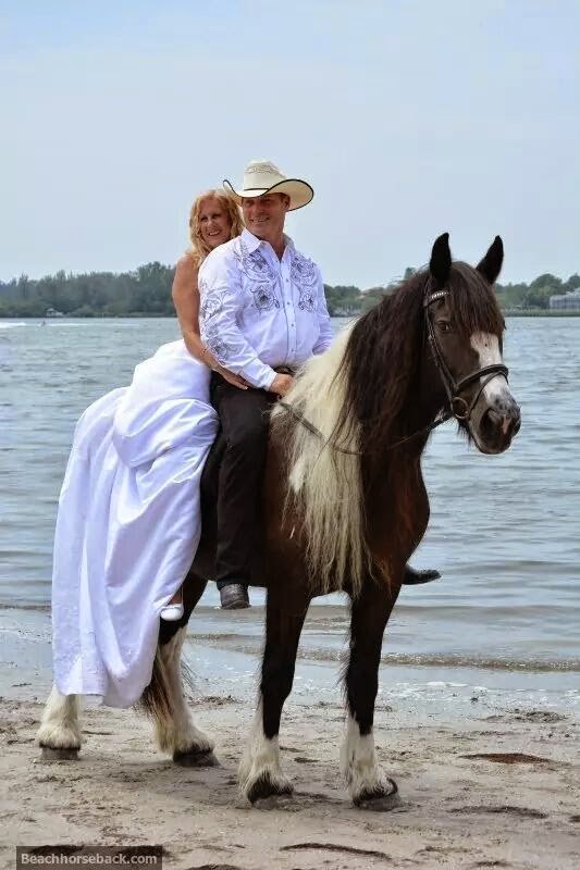 Cponies Beach Horseback Rides | 8400 Manatee Ave W, Bradenton, FL 34209, USA | Phone: (941) 773-5196