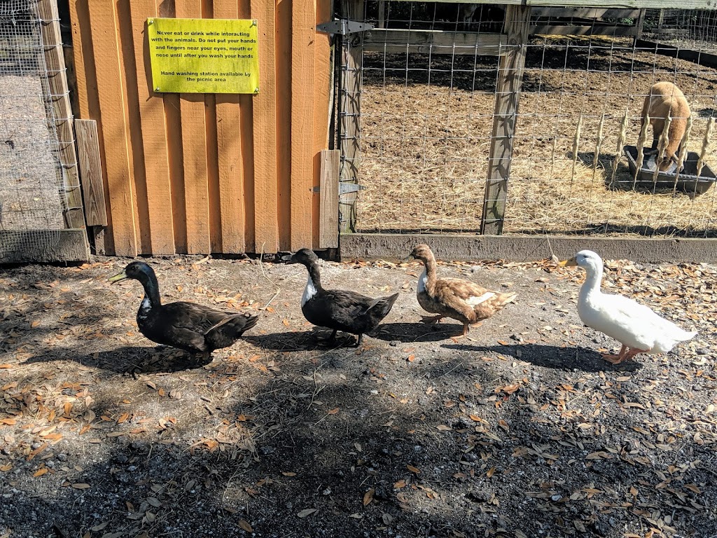 Bf Petting Farm | 15320 Morris Bridge Rd, Thonotosassa, FL 33592, USA | Phone: (813) 629-7859