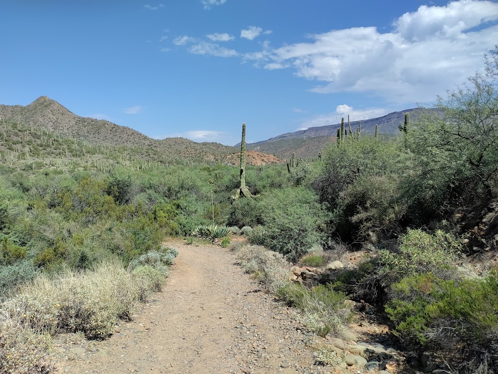 Spur Cross Ranch Conservation | 44000 N Spur Cross Rd, Cave Creek, AZ 85331, USA | Phone: (602) 506-2930