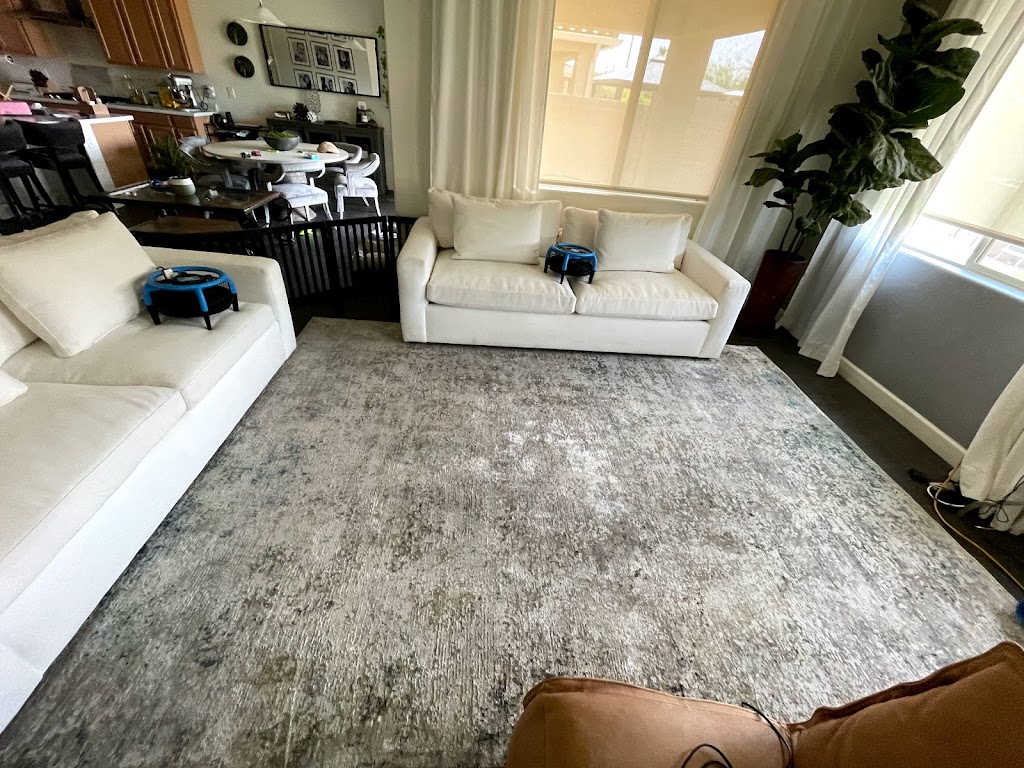 Rinsewell Carpet Cleaning | 2301 E University Dr #481, Mesa, AZ 85213 | Phone: (480) 651-4938