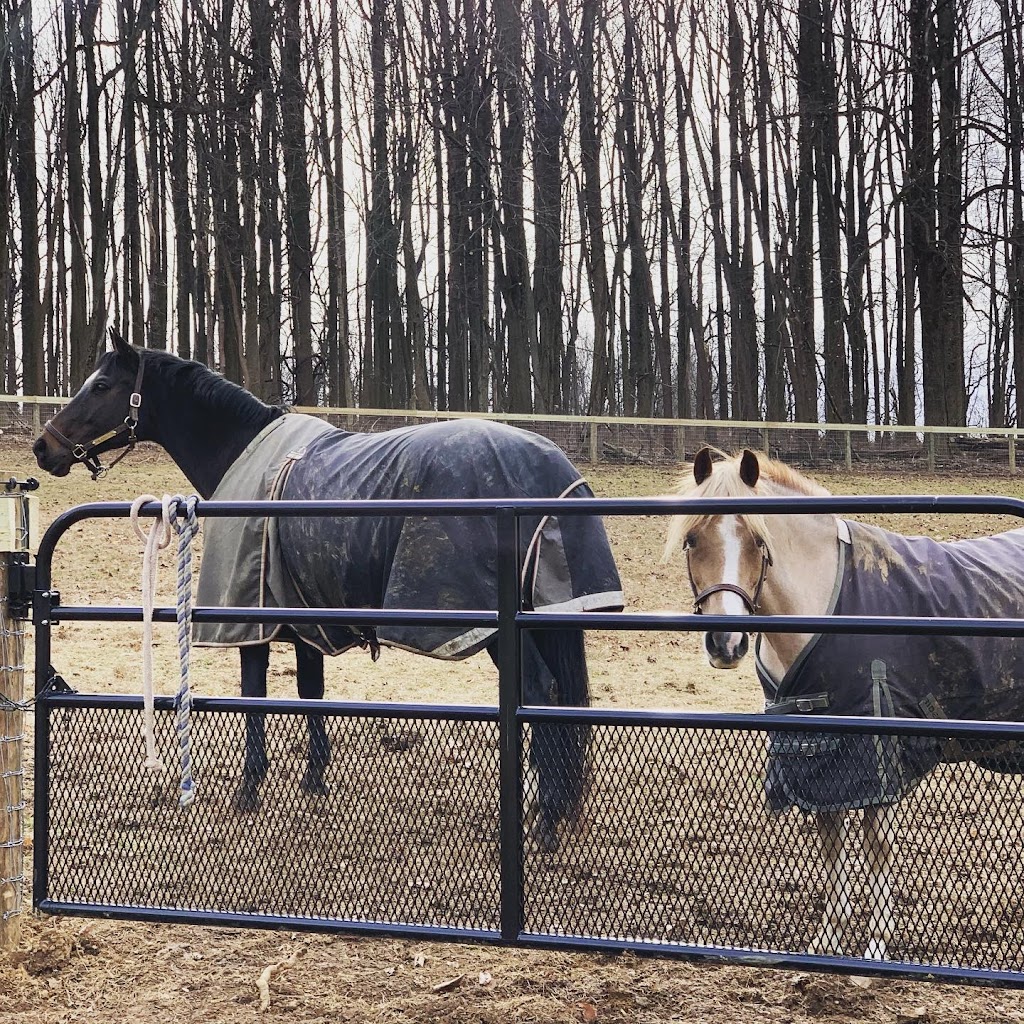 Top Flight Stables | 1608 Wildlife Dr, Chester Springs, PA 19425, USA | Phone: (610) 563-8019