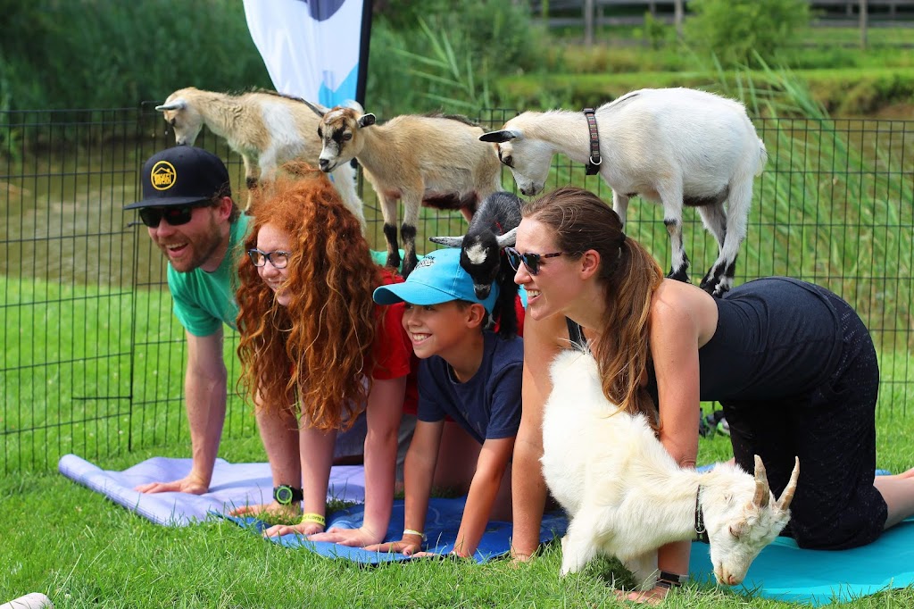 Fox Den Goat Yoga | 1067 Niagara Stone Rd, Niagara-on-the-Lake, ON L0S 1J0, Canada | Phone: (289) 407-4965