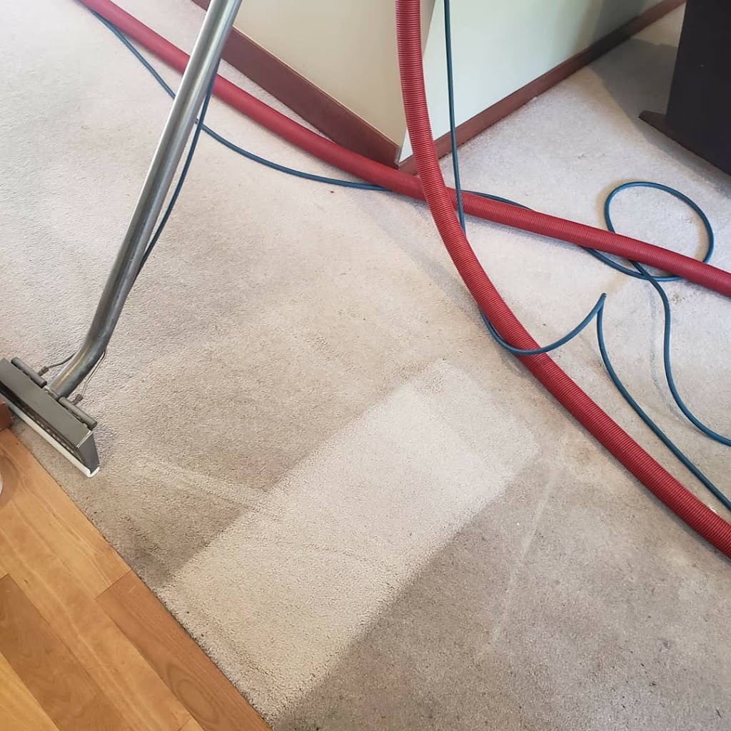 Premier Carpet Service | 7115 166th Ave E, Sumner, WA 98390, USA | Phone: (253) 961-4225