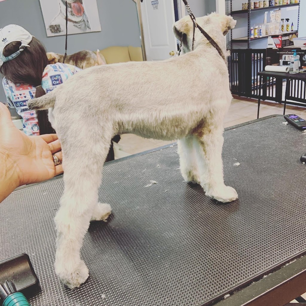 Pet Parlor Pet Grooming ,LLC | 12615 Greenwell Springs Rd, Baton Rouge, LA 70814, USA | Phone: (225) 275-7848