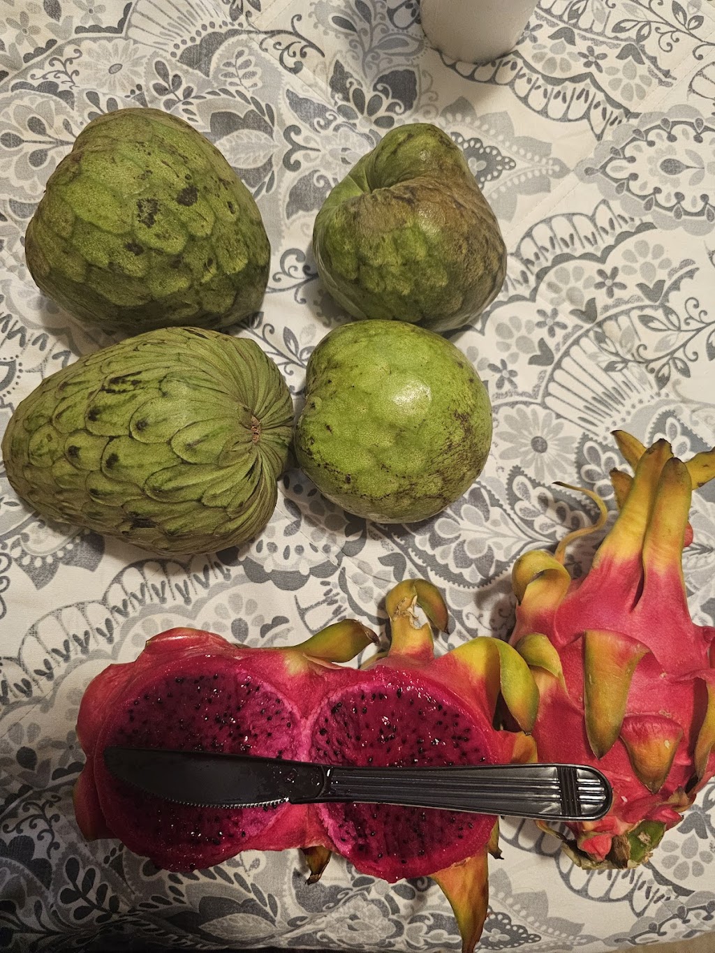 Good Hill Farms | 10098 Gomez Creek Rd, Fallbrook, CA 92028, USA | Phone: (760) 205-3291