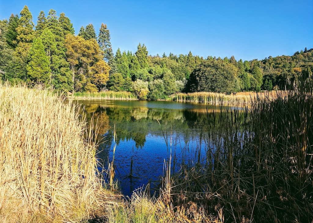 Doane Valley Nature Nature Preserve | Palomar Mountain, CA 92060, USA | Phone: (619) 990-0738