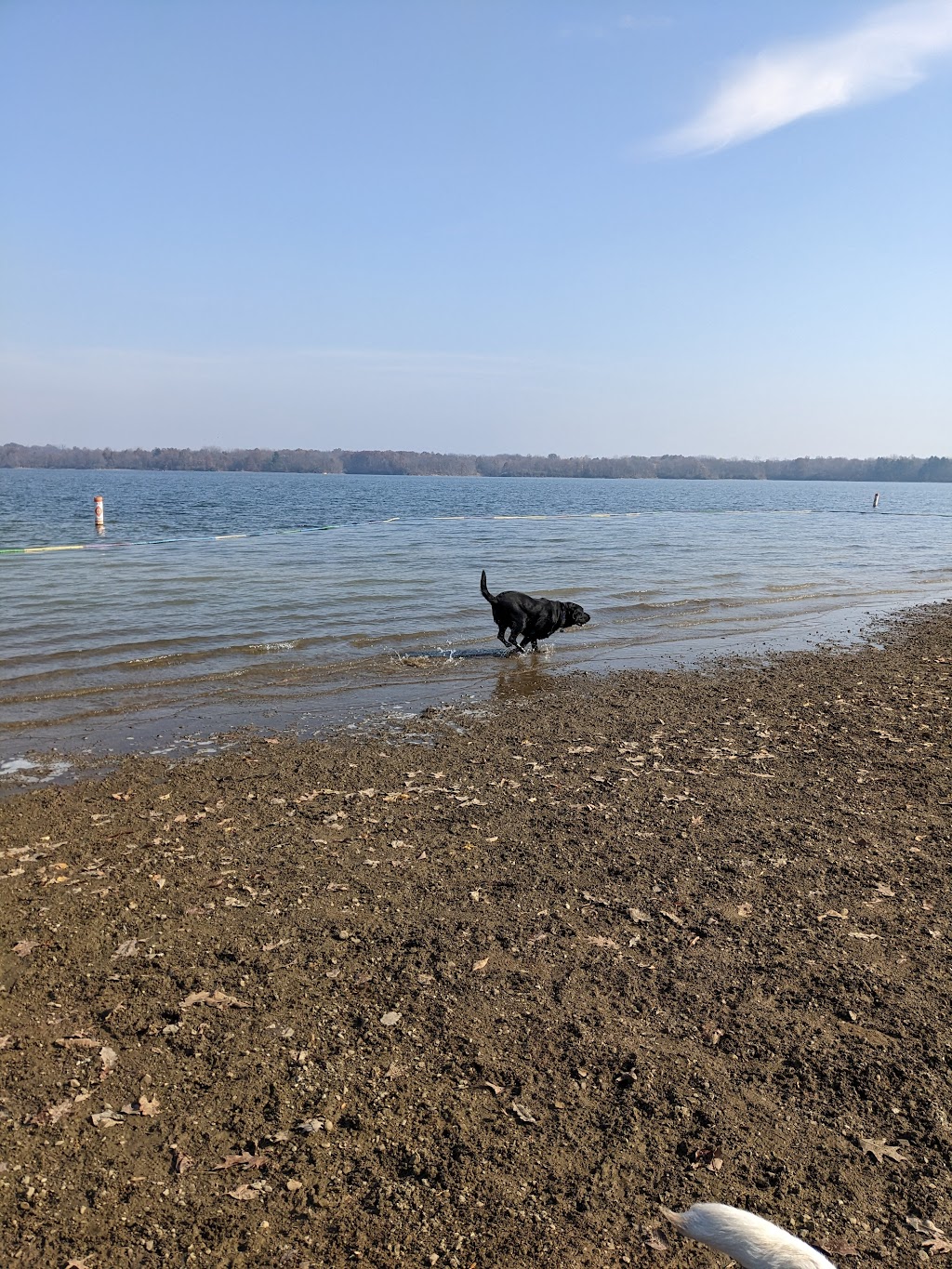 Friends of Alum Creek Dog Park | 3993 Hollenback Rd, Lewis Center, OH 43035, USA | Phone: (740) 548-4631