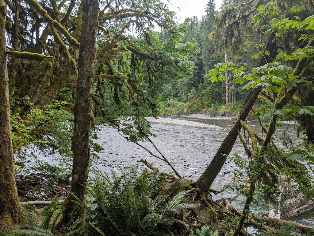 Robe Canyon Historic Park | Mountain Loop Hwy, Granite Falls, WA 98252, USA | Phone: (425) 388-6600