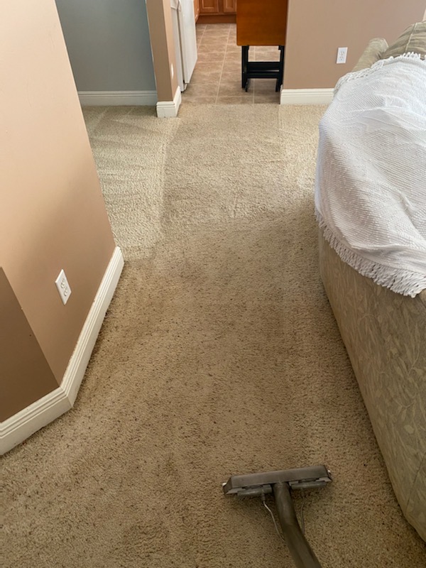 Precise Carpet Cleaning | 3489 New Town Blvd, St Charles, MO 63301, USA | Phone: (636) 939-1008