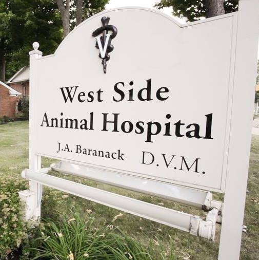 West Side Animal Hospital | 866 S Sawburg Ave, Alliance, OH 44601, USA | Phone: (330) 823-1500