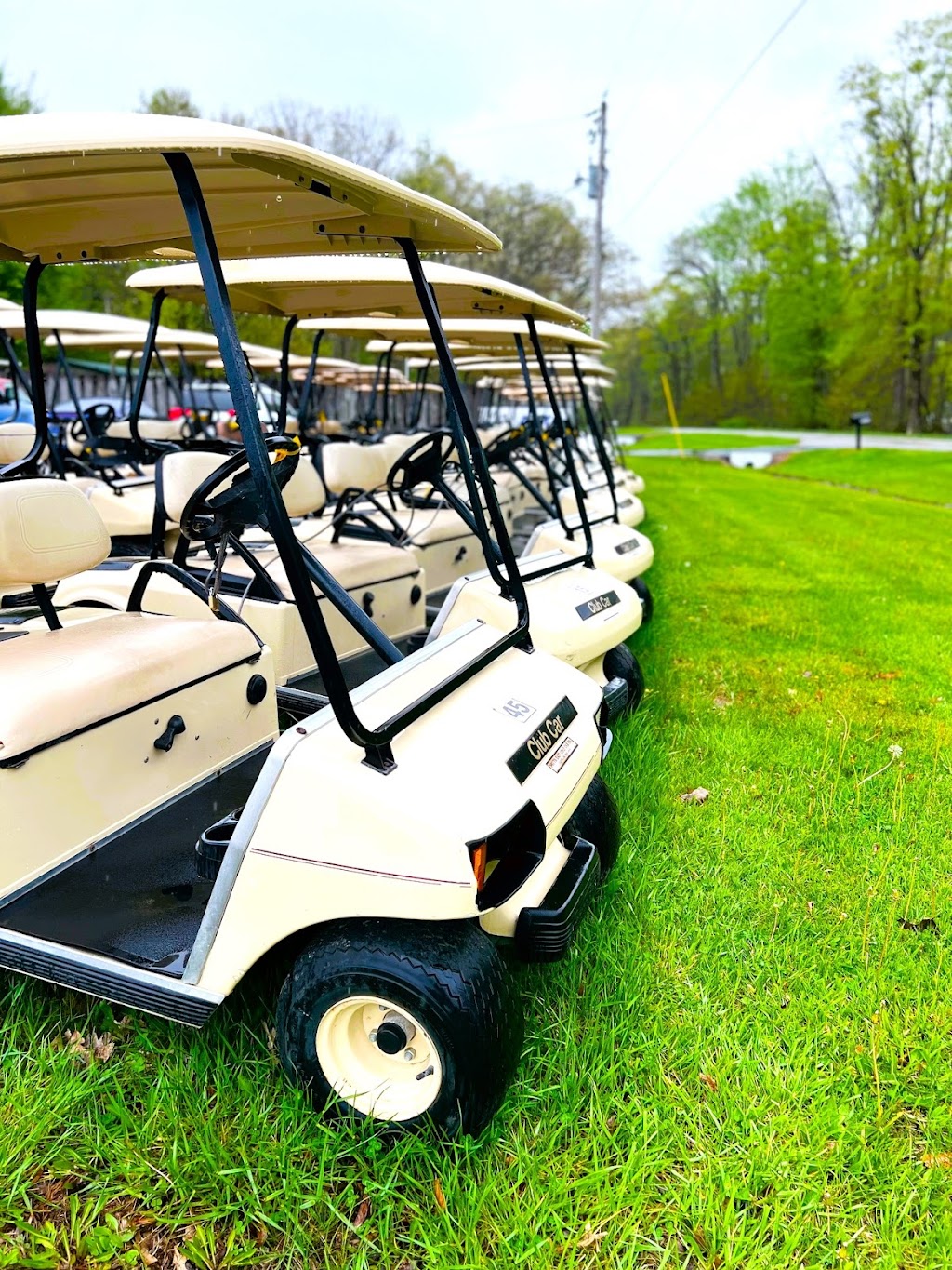 Quality Carts | 7307 IN-46, Batesville, IN 47006, USA | Phone: (812) 933-1400