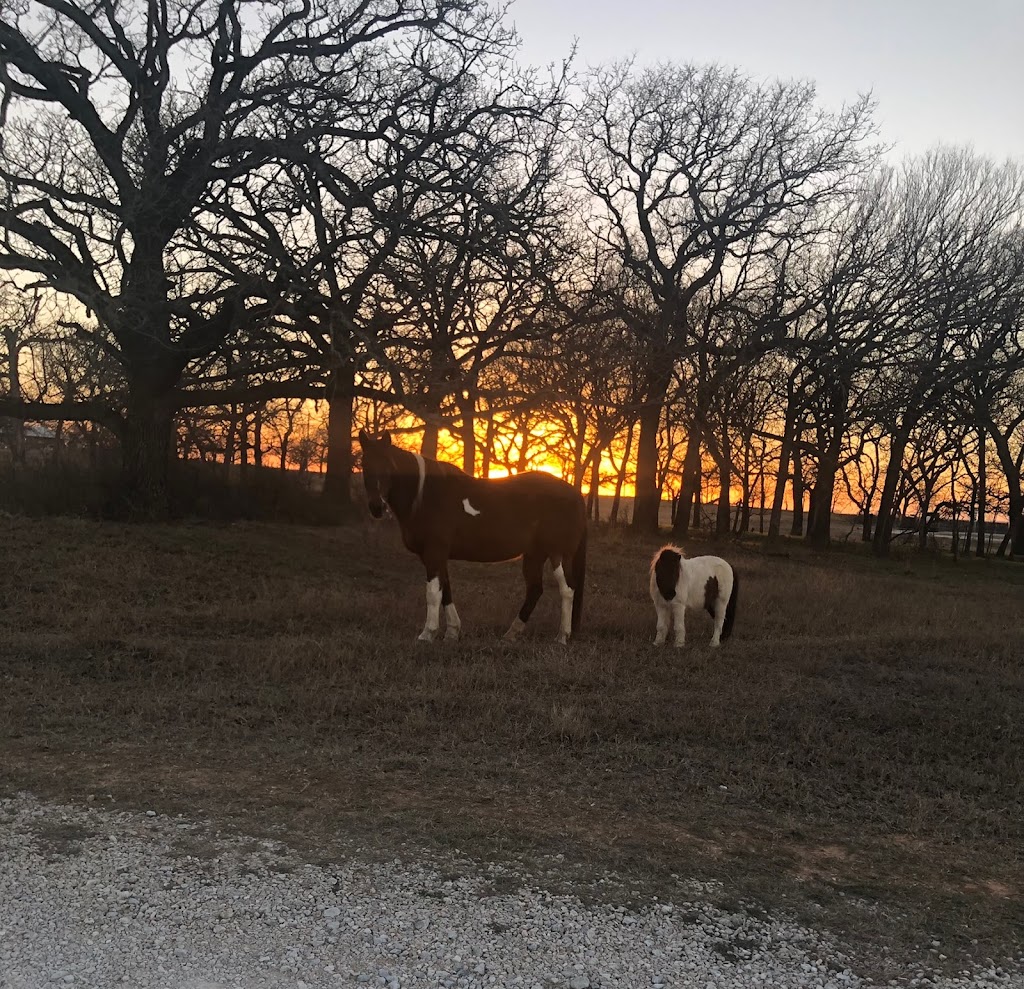 Saddle Up CrossFit | 398 Co Rd 4280, Decatur, TX 76234, USA | Phone: (940) 427-7254