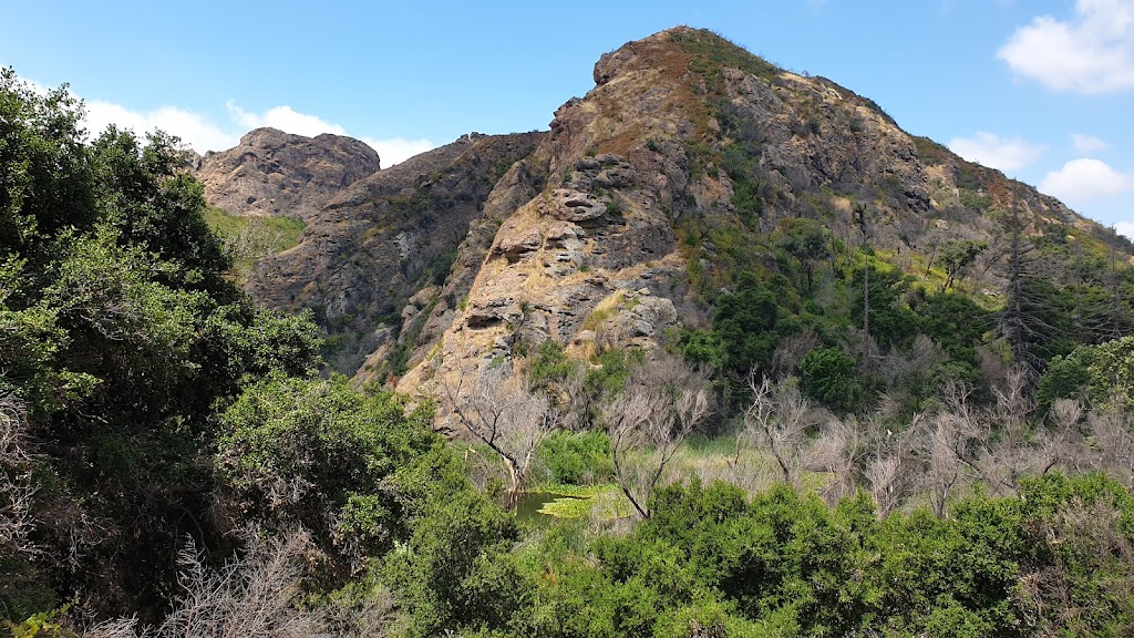 Calabasas Bark Park, 4232 Las Virgenes Rd, Calabasas, CA 91302