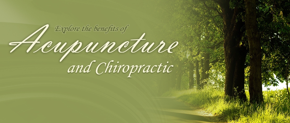 Panchur Chiropractic Wellness Centre | 1348 Sharon Copley Rd, Wadsworth, OH 44281 | Phone: (330) 335-6070