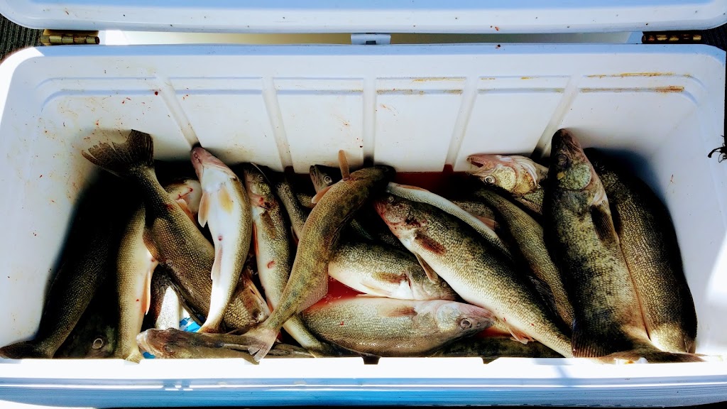 Shamrock Fishing Charters | 10955 Corduroy Rd, Curtice, OH 43412, USA | Phone: (419) 345-3948