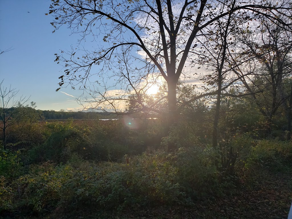 Cadiz Springs State Recreation Area | N2241 Cadiz Springs Rd, Browntown, WI 53522, USA | Phone: (608) 966-3777