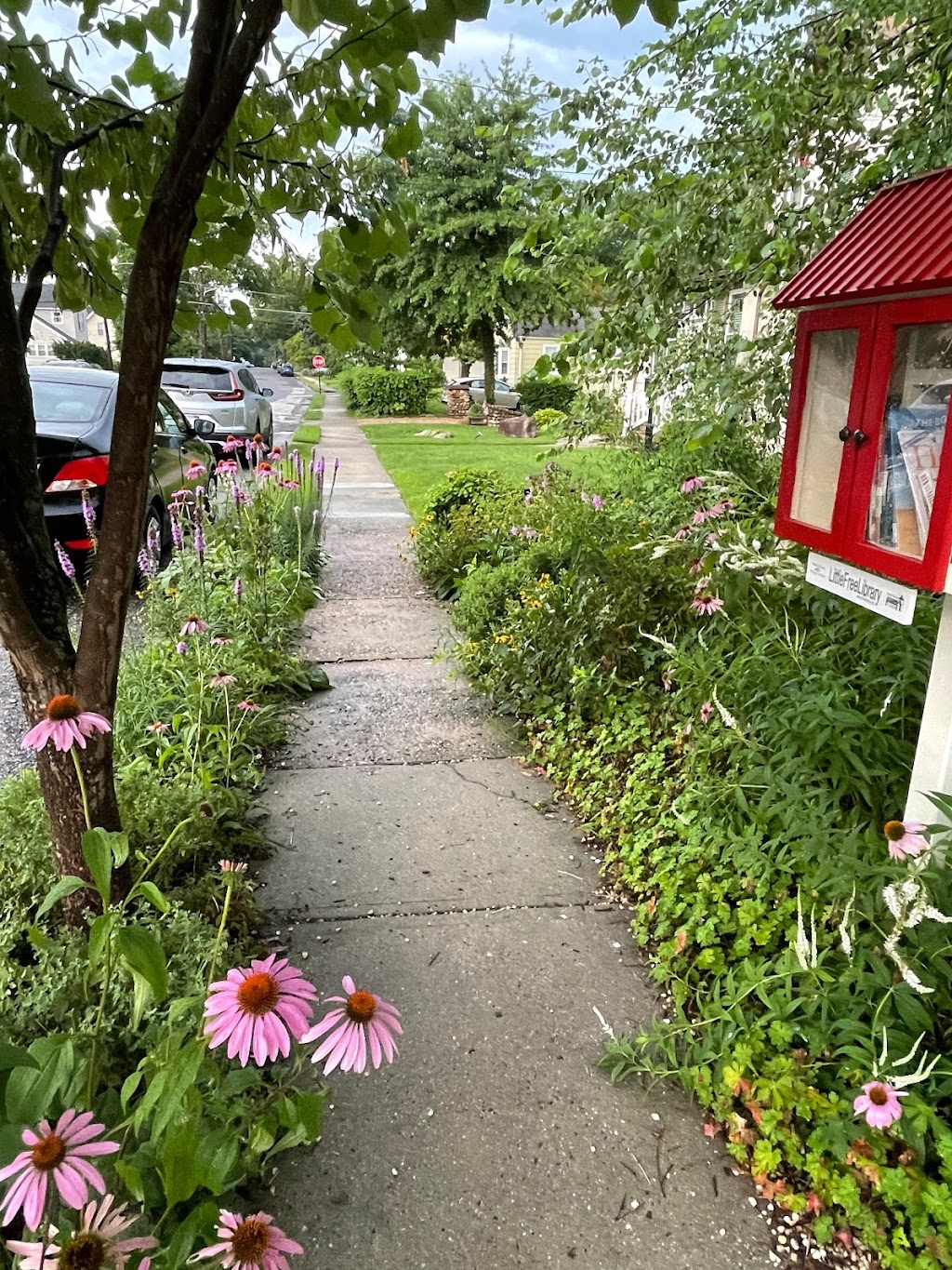 W Franklin Street Little Free Library | 227 W Franklin St, Morrisville, PA 19067, USA | Phone: (215) 888-2522