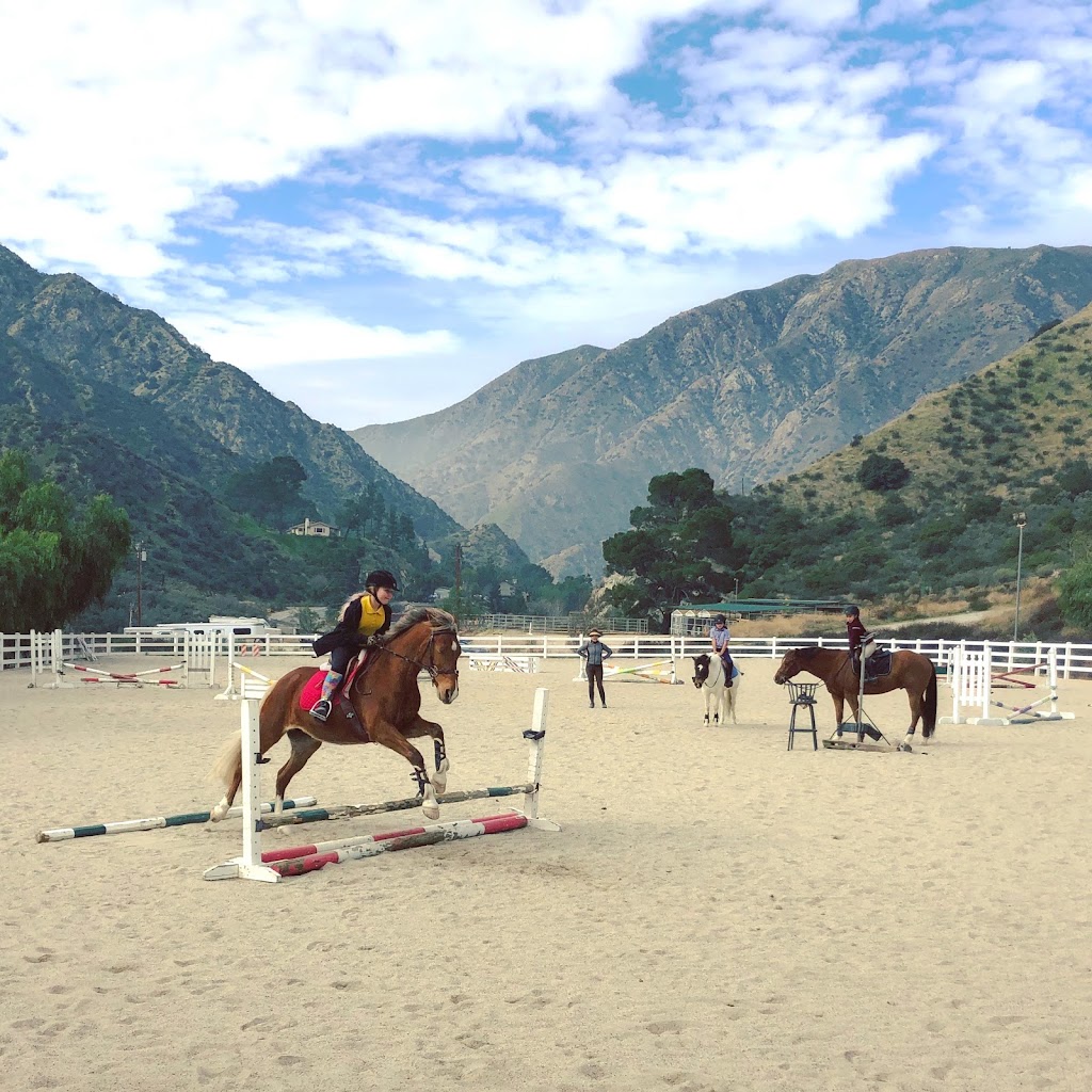 Epona Riding Academy and Natural Horsemanship | 11127 Orcas Ave, Sylmar, CA 91342, USA | Phone: (818) 568-2373