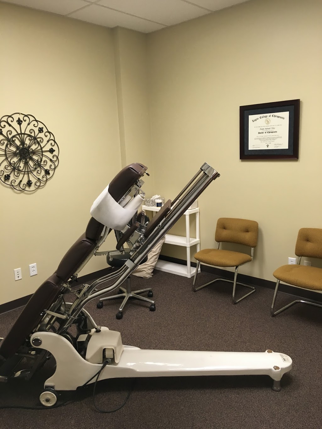 Pala Chiropractic | 14701 Cumberland Rd #350, Noblesville, IN 46060, USA | Phone: (317) 770-1970