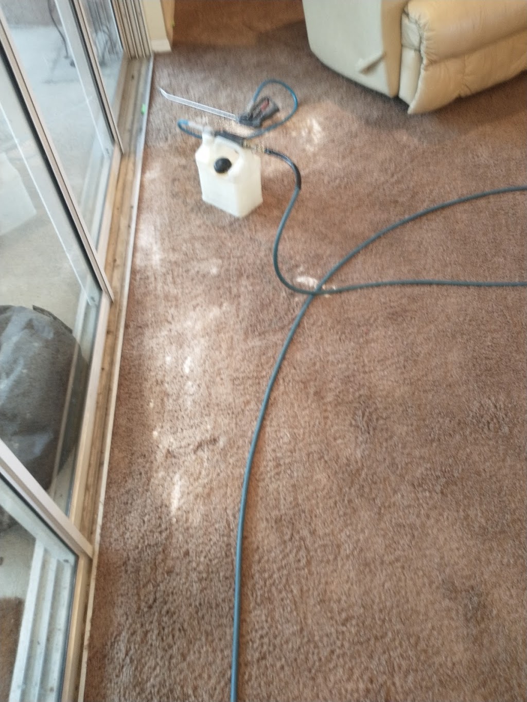 Marcial Carpet Cleaning Solutions | 8937 Farmington Ln, Port Richey, FL 34668 | Phone: (727) 788-2411