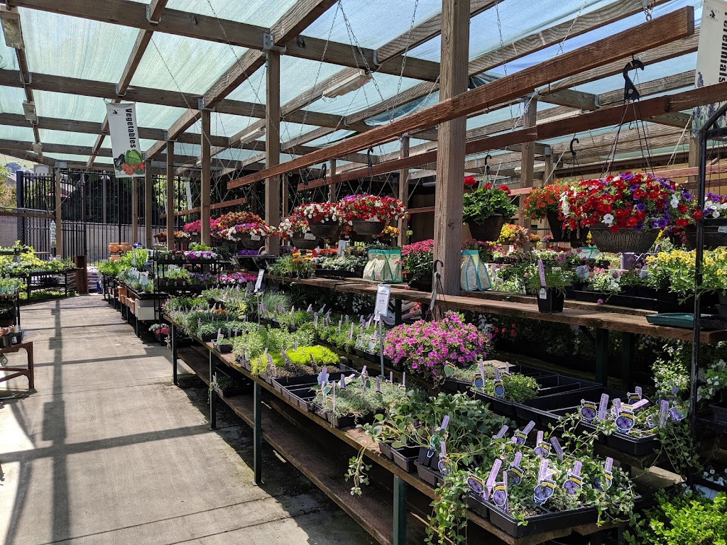 Sloat Garden Center | 800 Camino Ramon, Danville, CA 94526, USA | Phone: (925) 837-9144