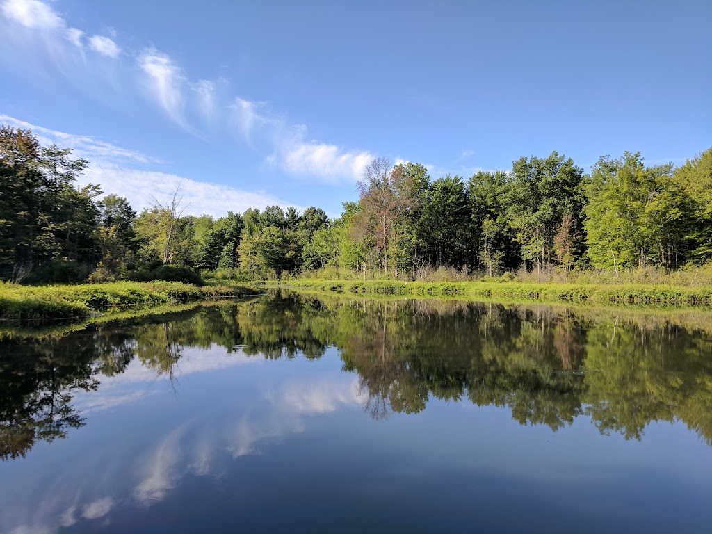 North Chagrin Reservation Parking | 41°3343.7"N 81°2602.1"W, Mayfield, OH 44143, USA | Phone: (440) 473-3370