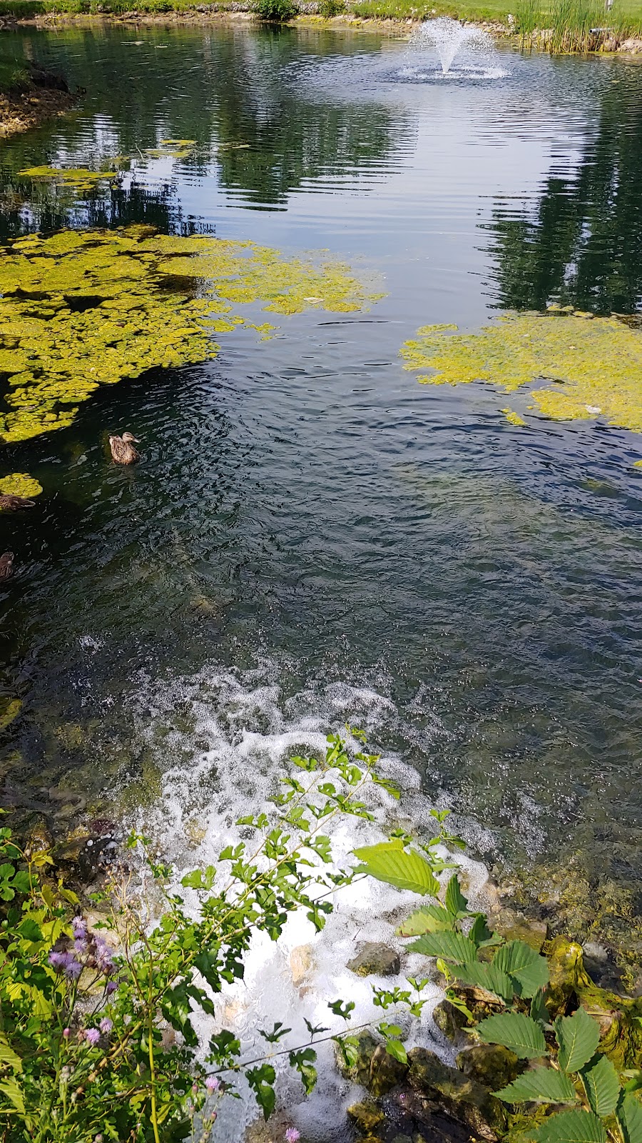 Roseland Golf and Curling Club | 455 Kennedy Dr W, Windsor, ON N9G 1S8, Canada | Phone: (519) 969-5112