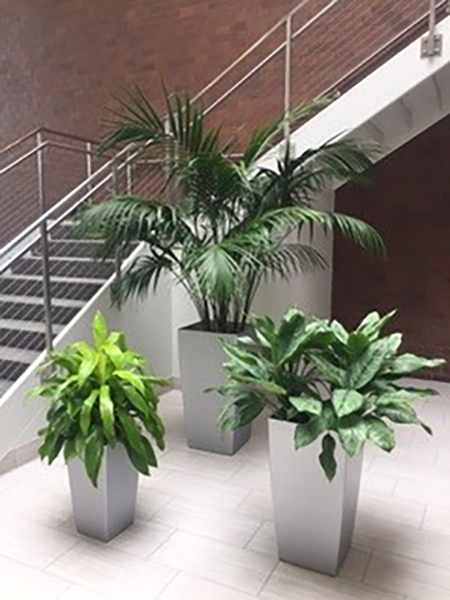 Plantscape Designs Inc | 41 Elm St Unit C, Stoneham, MA 02180, USA | Phone: (781) 279-0032