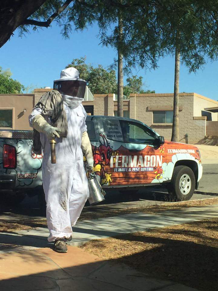 TERMAGON TERMITE & PEST CONTROL | 1224 N Anita Ave, Tucson, AZ 85705, USA | Phone: (520) 322-9211