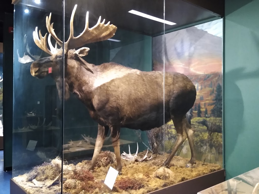 Mann Wildlife Learning Museum | 325 E Vandiver Blvd, Montgomery, AL 36110, USA | Phone: (334) 240-4900