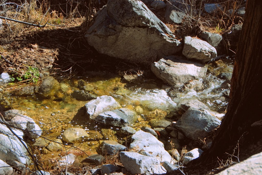 Burkhart Trail to Cooper Canyon Falls | Burkhart Trail, Pearblossom, CA 93553, USA | Phone: (626) 574-1613