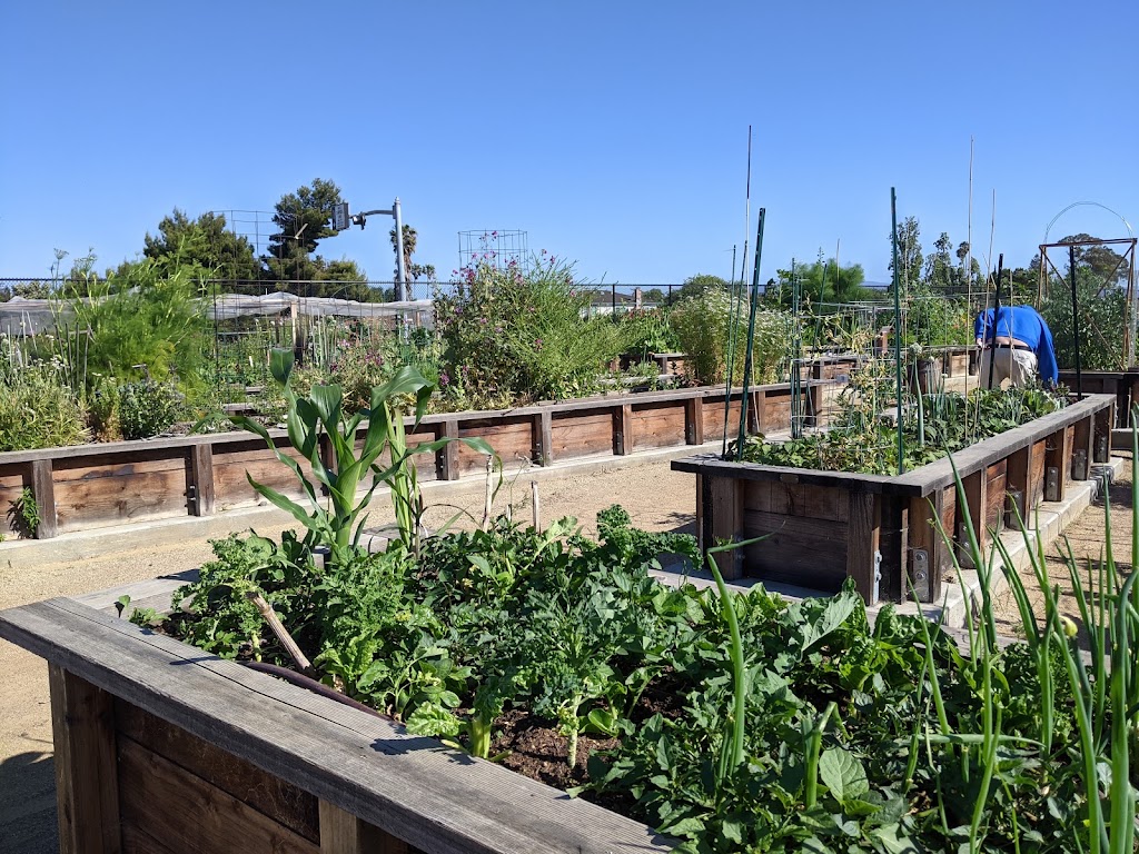 Everett N. "Eddie" Souza Park | 2380 Monroe St, Santa Clara, CA 95051, USA | Phone: (408) 615-3740