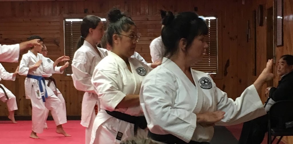 Japan Karate-Do Genbu-Kai of Indiana | 1210 S Briant St, Huntington, IN 46750, USA | Phone: (260) 355-5384